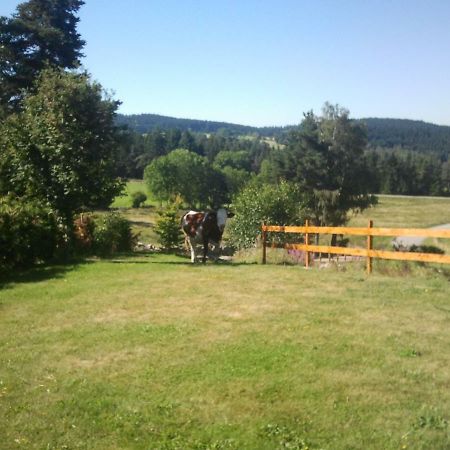 Ressourcez Vous En Pleine Nature! Saint-Regis-du-Coin Экстерьер фото